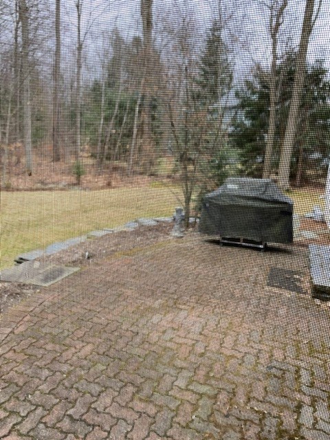 38 Cardinal Way Shelburne, VT 05482 - Photo 24 of 27 Gallery Image 24
