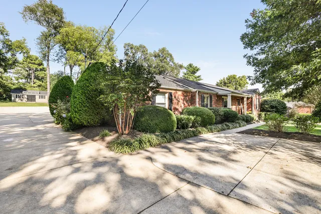 a view of a hallway with wooden floor and a potted plant