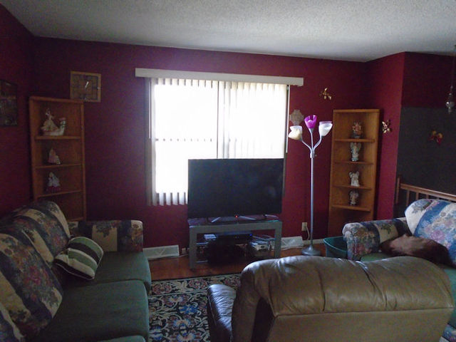 1224 Carrie Avenue Rochelle, IL 61068 - Photo 5 of 12