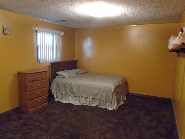 1224 Carrie Avenue Rochelle, IL 61068 - Photo 10 of 12