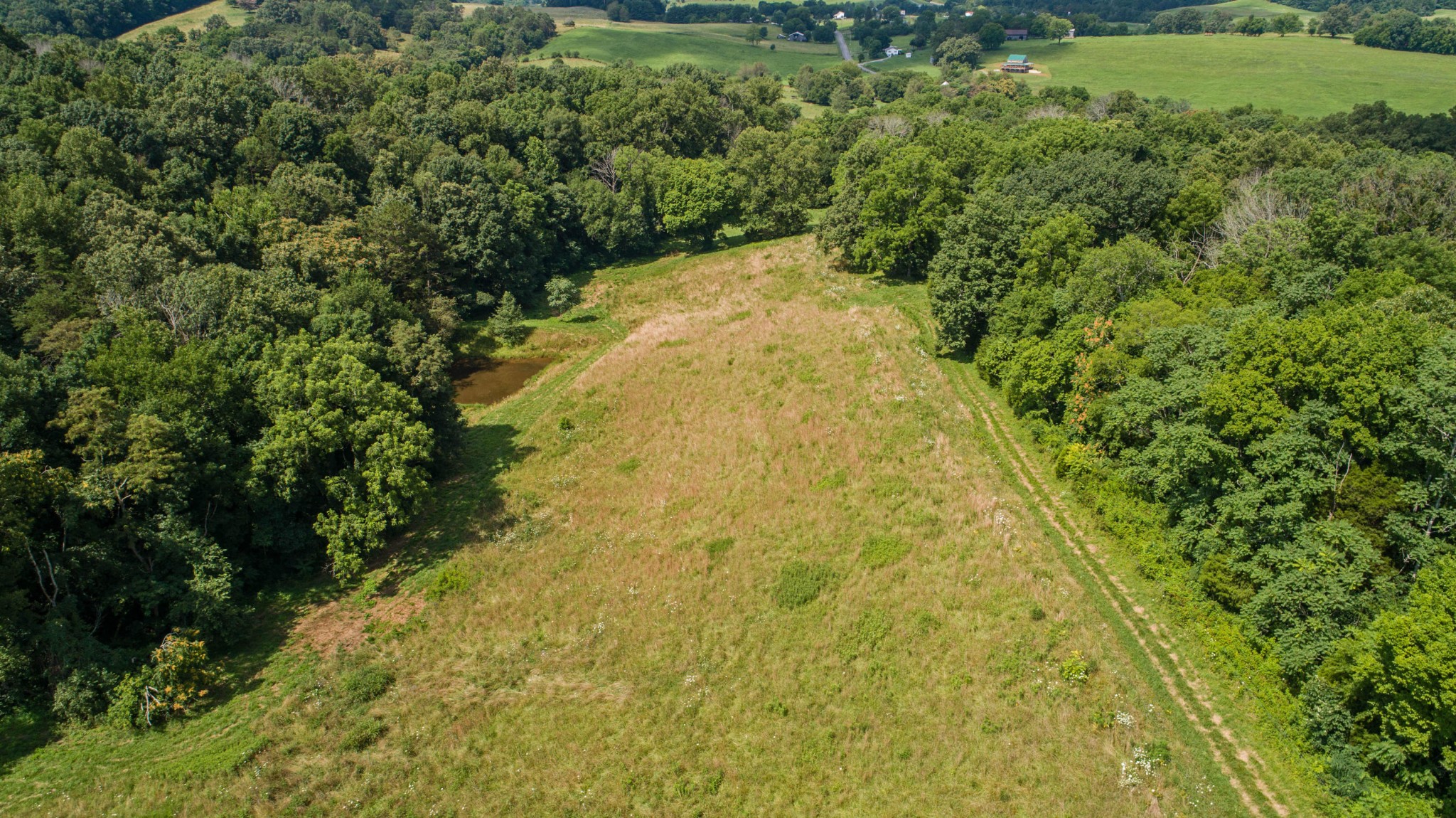 0 St James Road Greeneville, TN 37743 - Photo 12 of 29 Gallery Image 12
