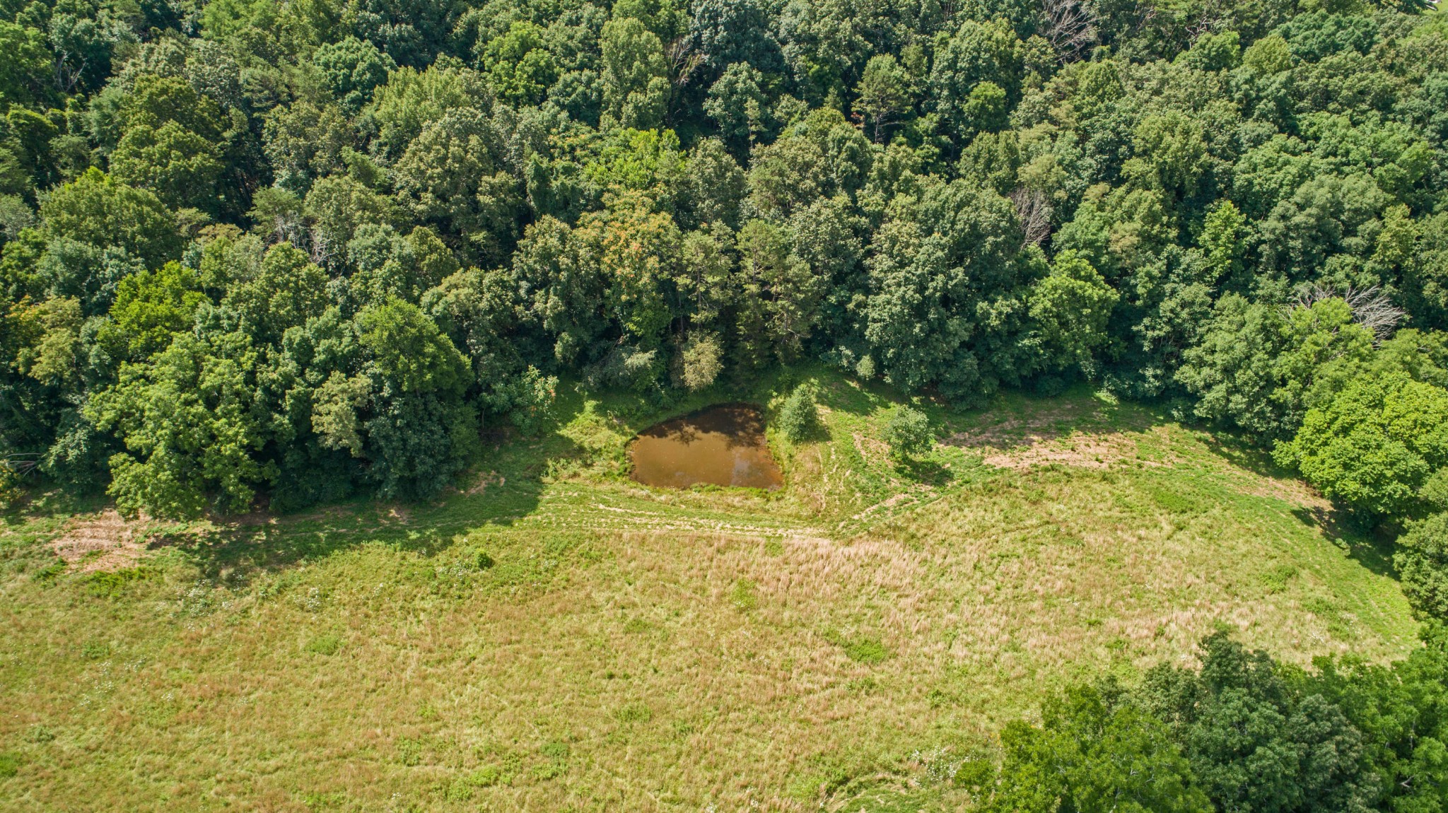 0 St James Road Greeneville, TN 37743 - Photo 13 of 29 Gallery Image 13
