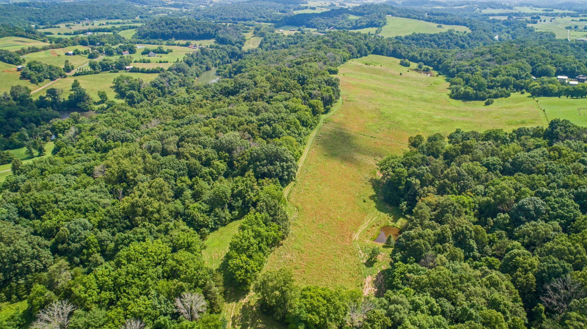 0 St James Road Greeneville, TN 37743 - Photo 15 of 29 Gallery Image 15
