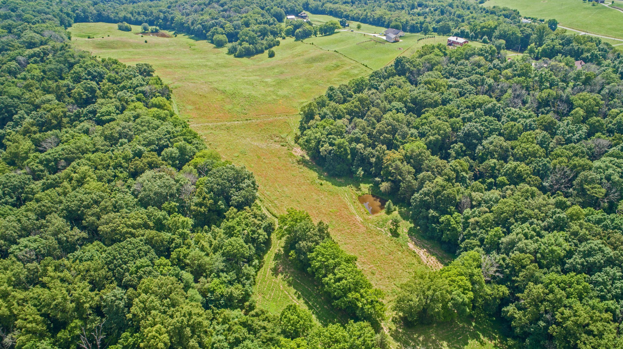0 St James Road Greeneville, TN 37743 - Photo 18 of 29 Gallery Image 18