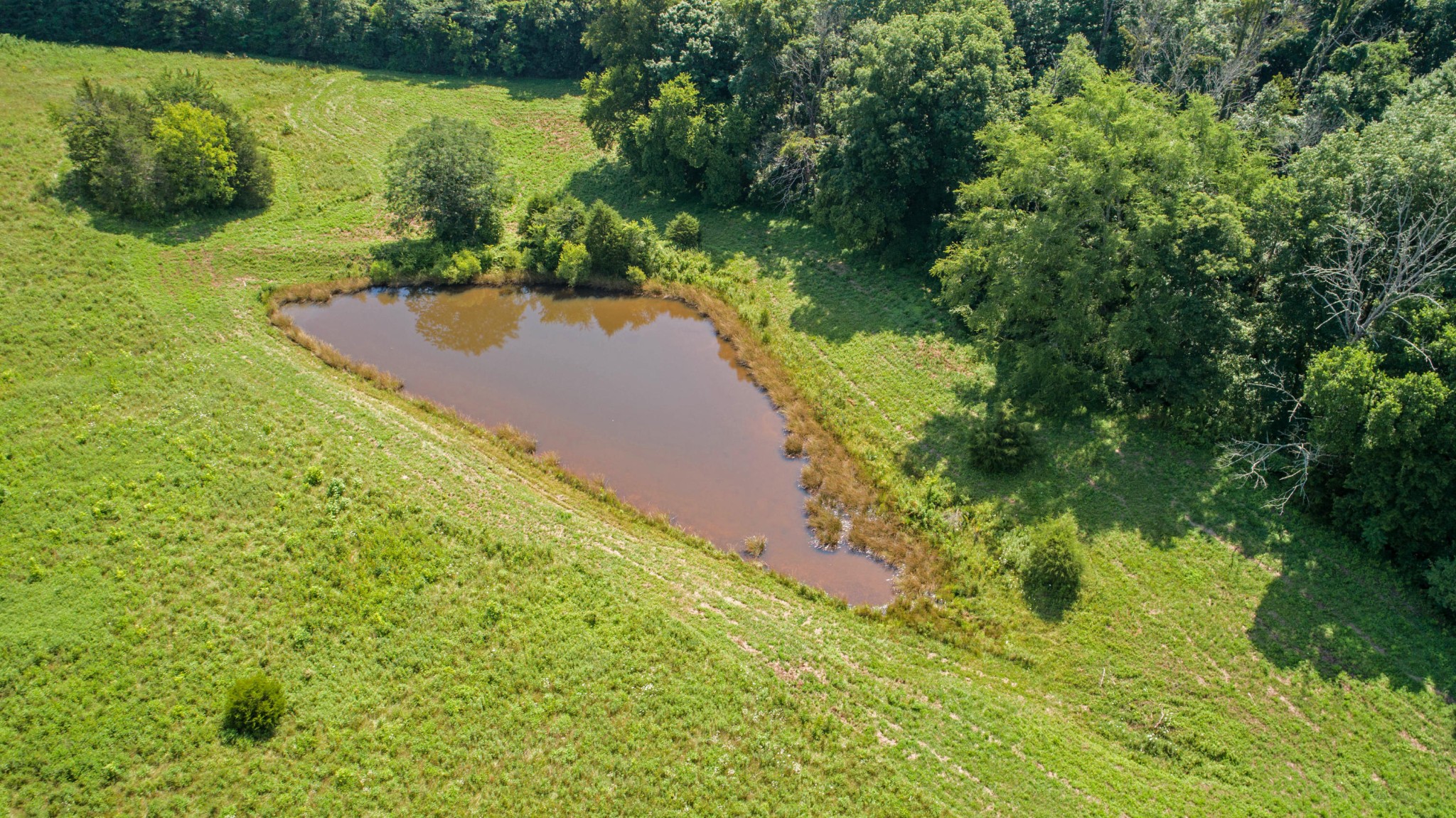 0 St James Road Greeneville, TN 37743 - Photo 9 of 29 Gallery Image 9