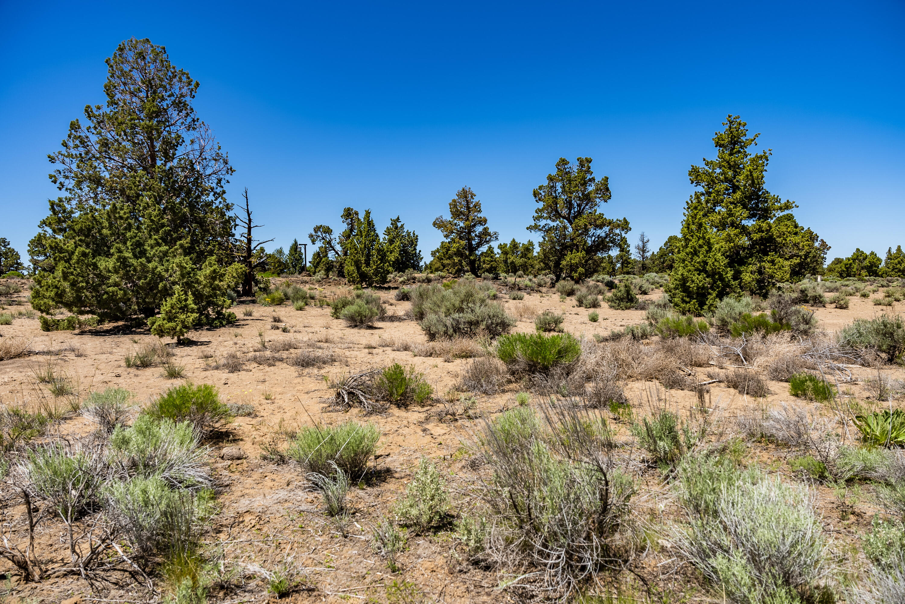 Canyon View Loop Bend Bend, OR 97701 - Photo 11 of 30 11