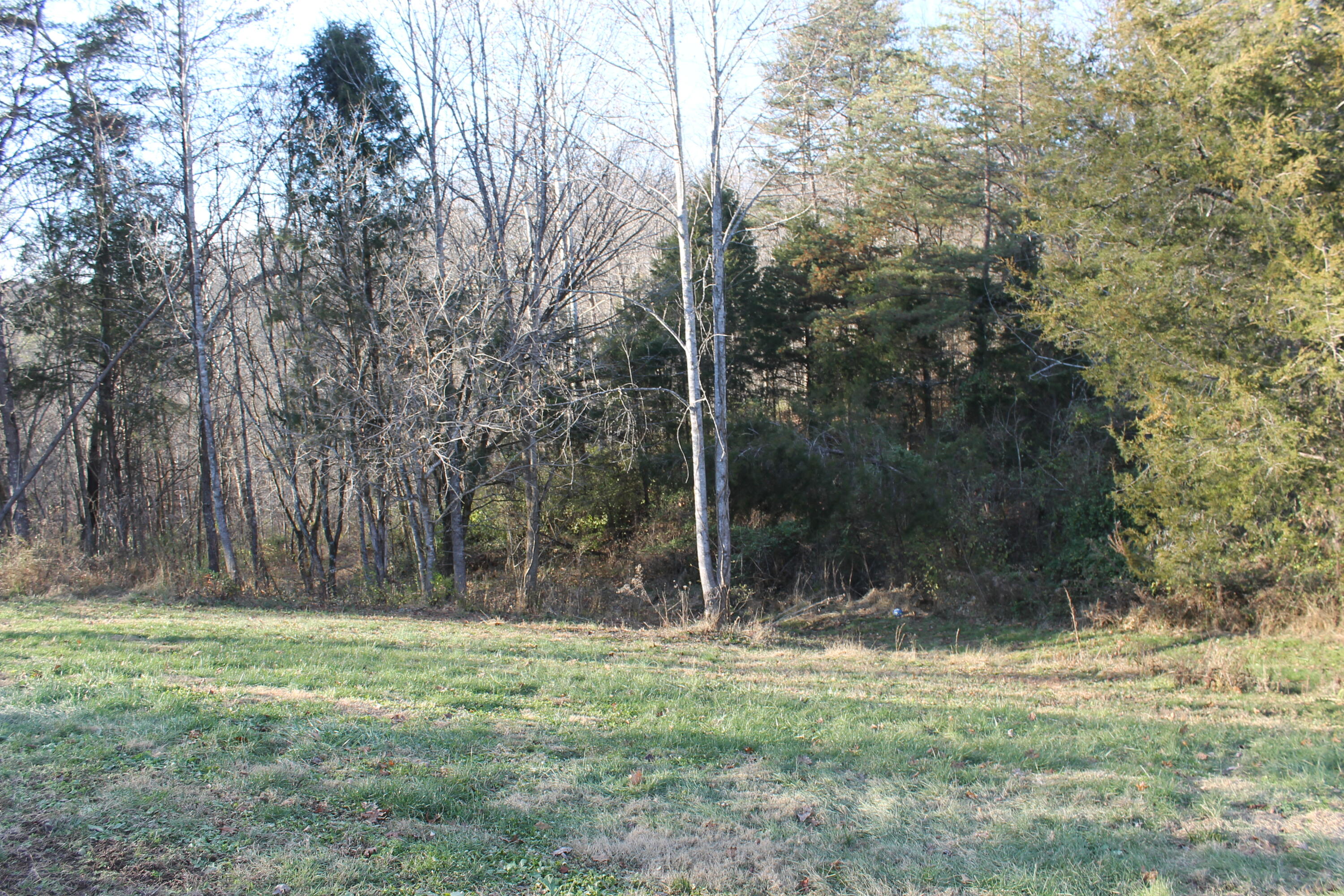2435 Pine Ridge Road Winchester, KY 40391 - Photo 18 of 24 IMG_4846
