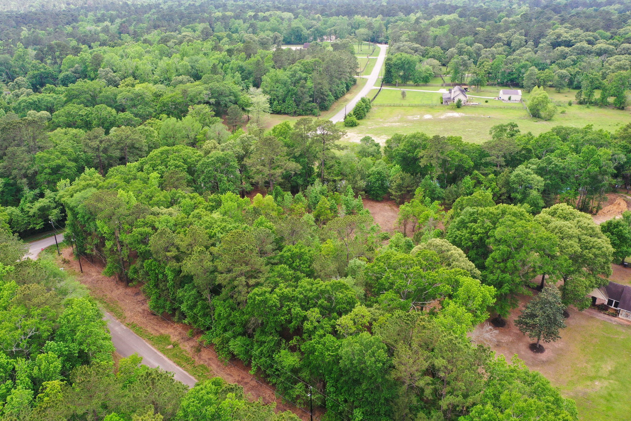 0 Daniel Street Magnolia, TX 77354 - Photo 3 of 14