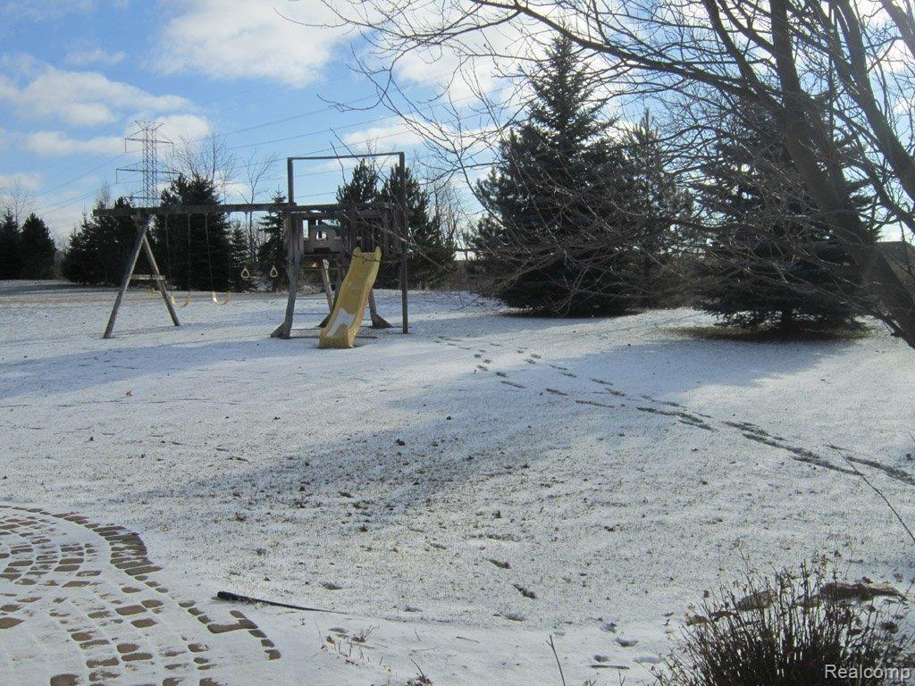 IMG_1453