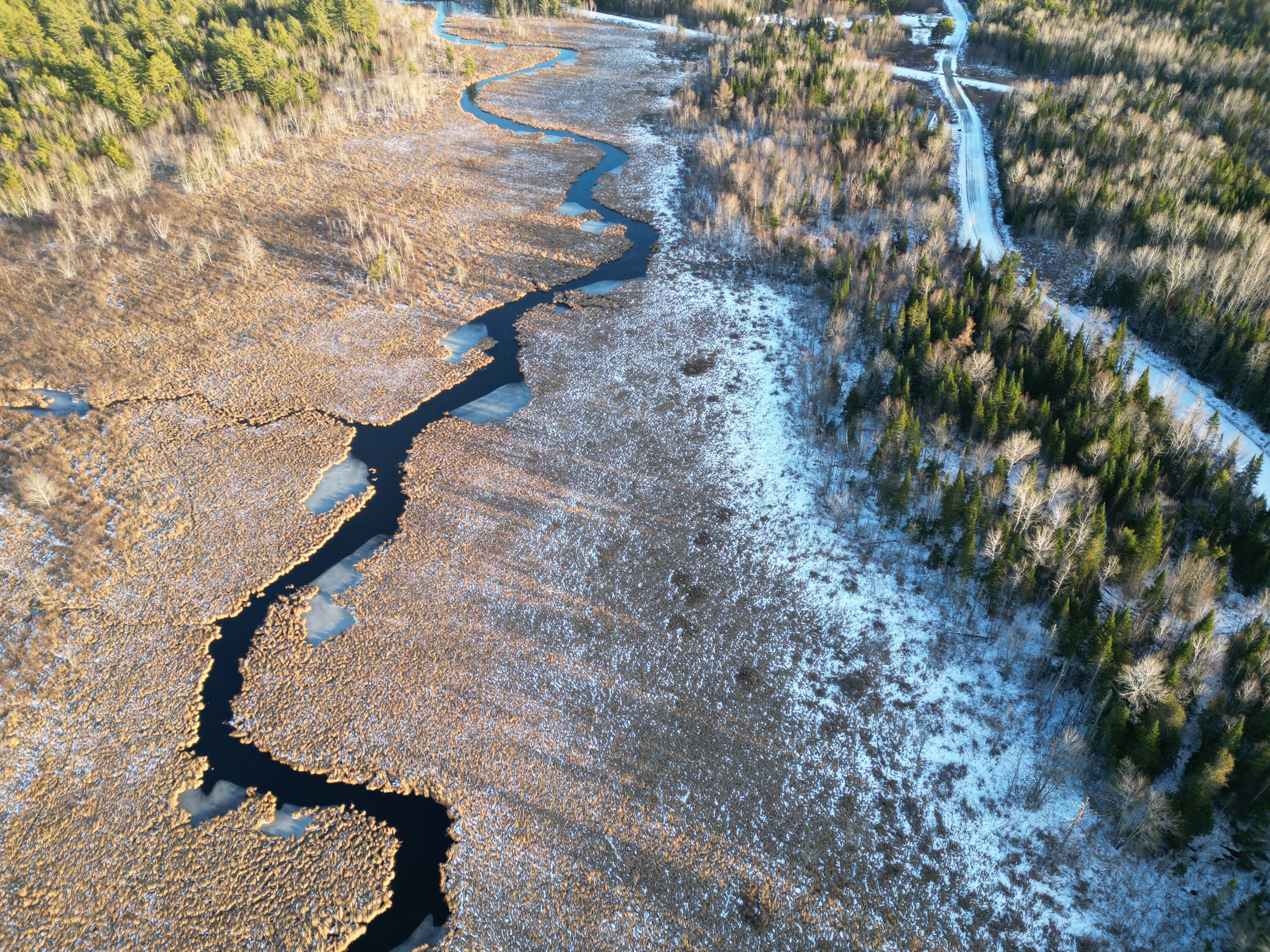 Lot 4-1 Butterfield Ridge Road Lincoln, ME 04457 - Photo 13 of 15 DJI_0023