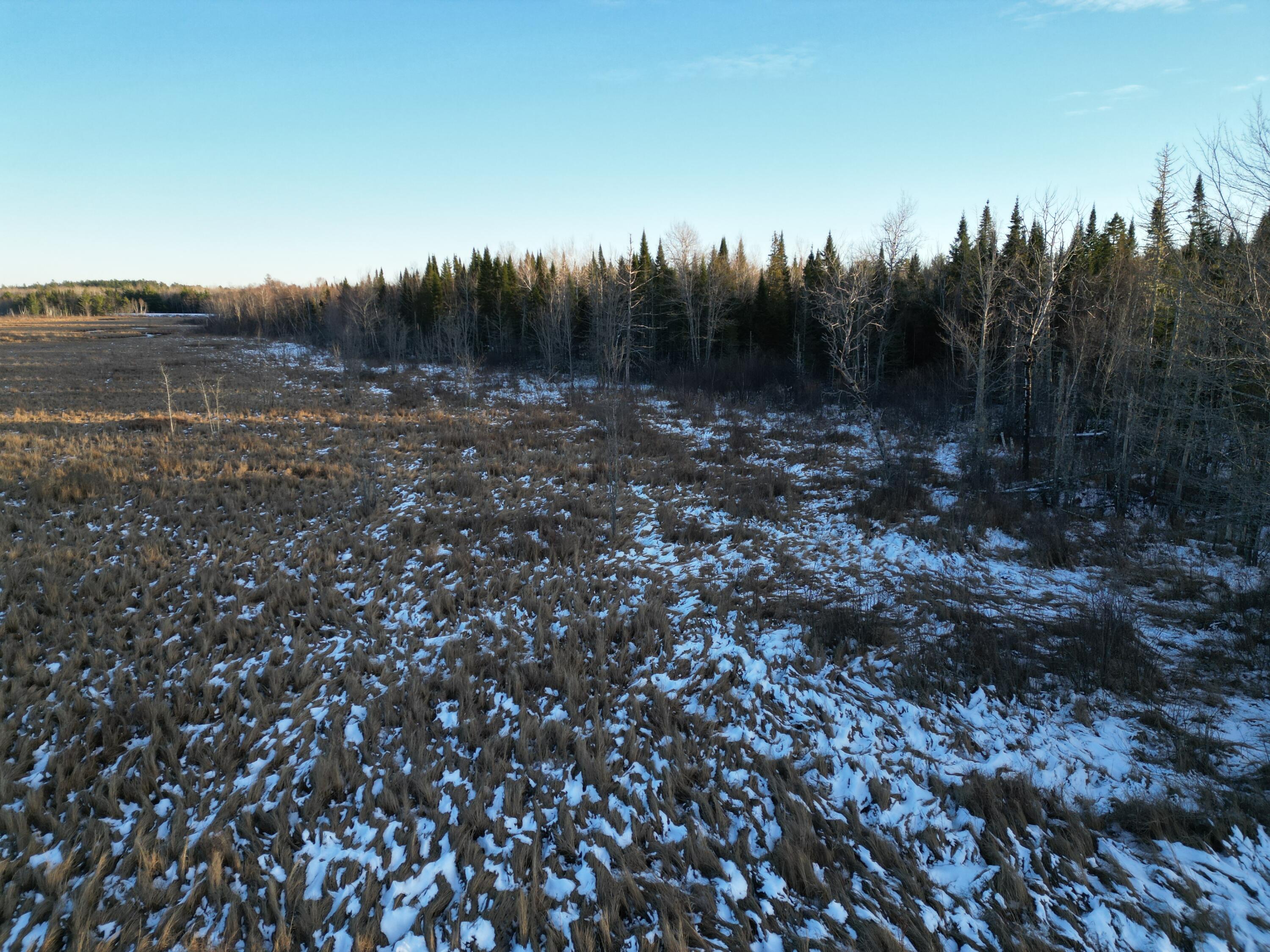 Lot 4-1 Butterfield Ridge Road Lincoln, ME 04457 - Photo 14 of 15 DJI_0024