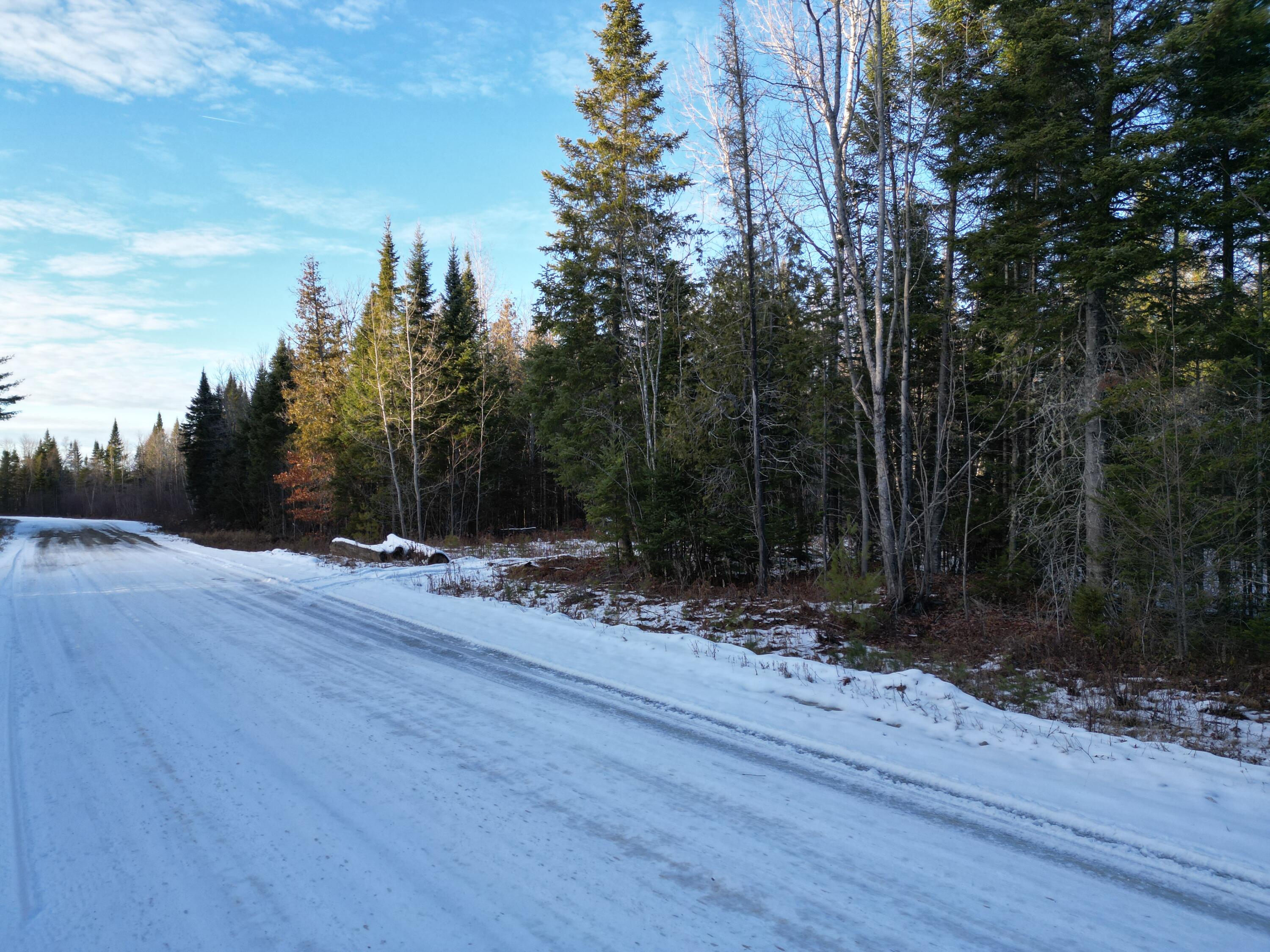 Lot 4-1 Butterfield Ridge Road Lincoln, ME 04457 - Photo 4 of 15 DJI_0013