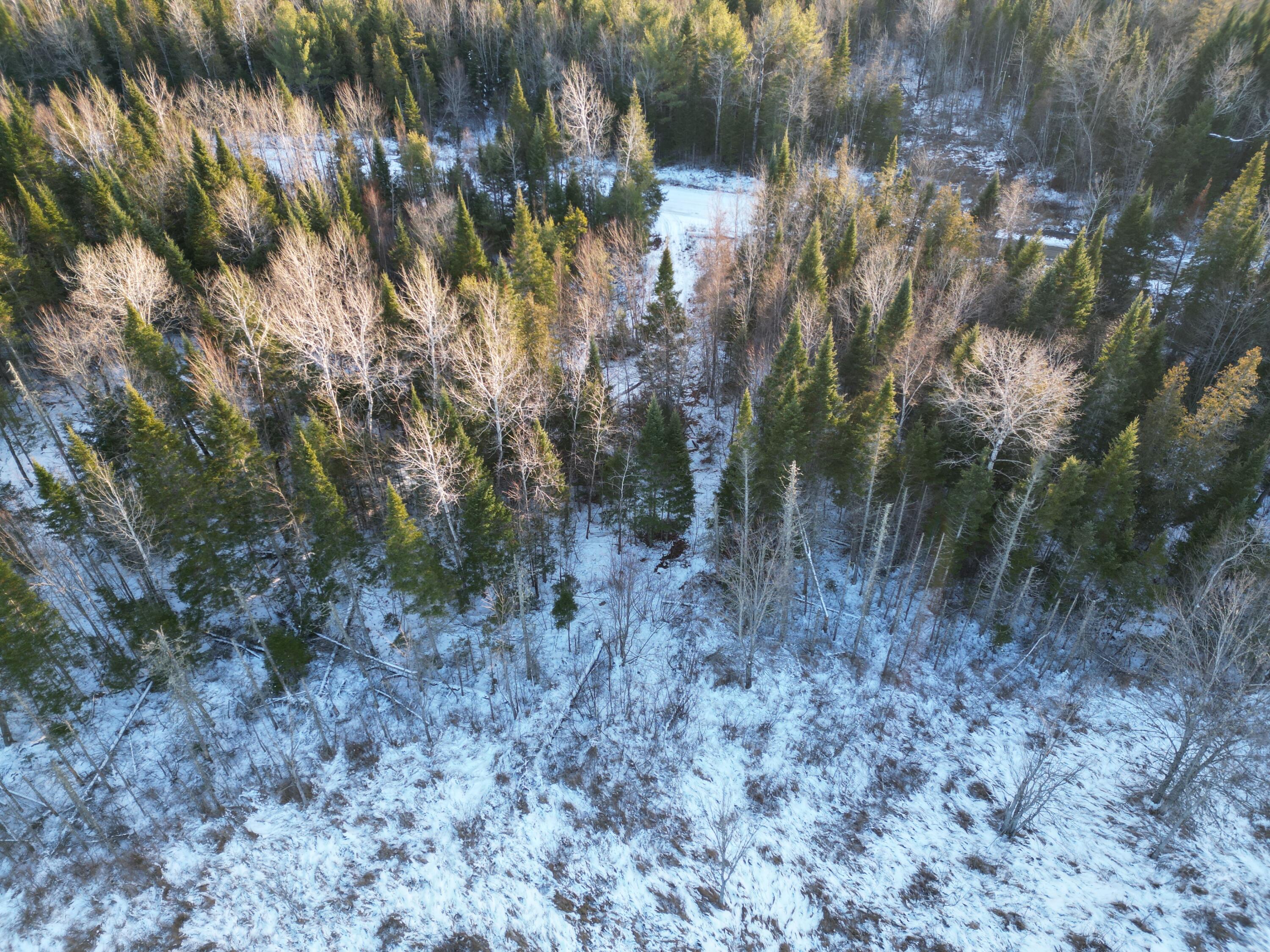 Lot 4-1 Butterfield Ridge Road Lincoln, ME 04457 - Photo 6 of 15 DJI_0026