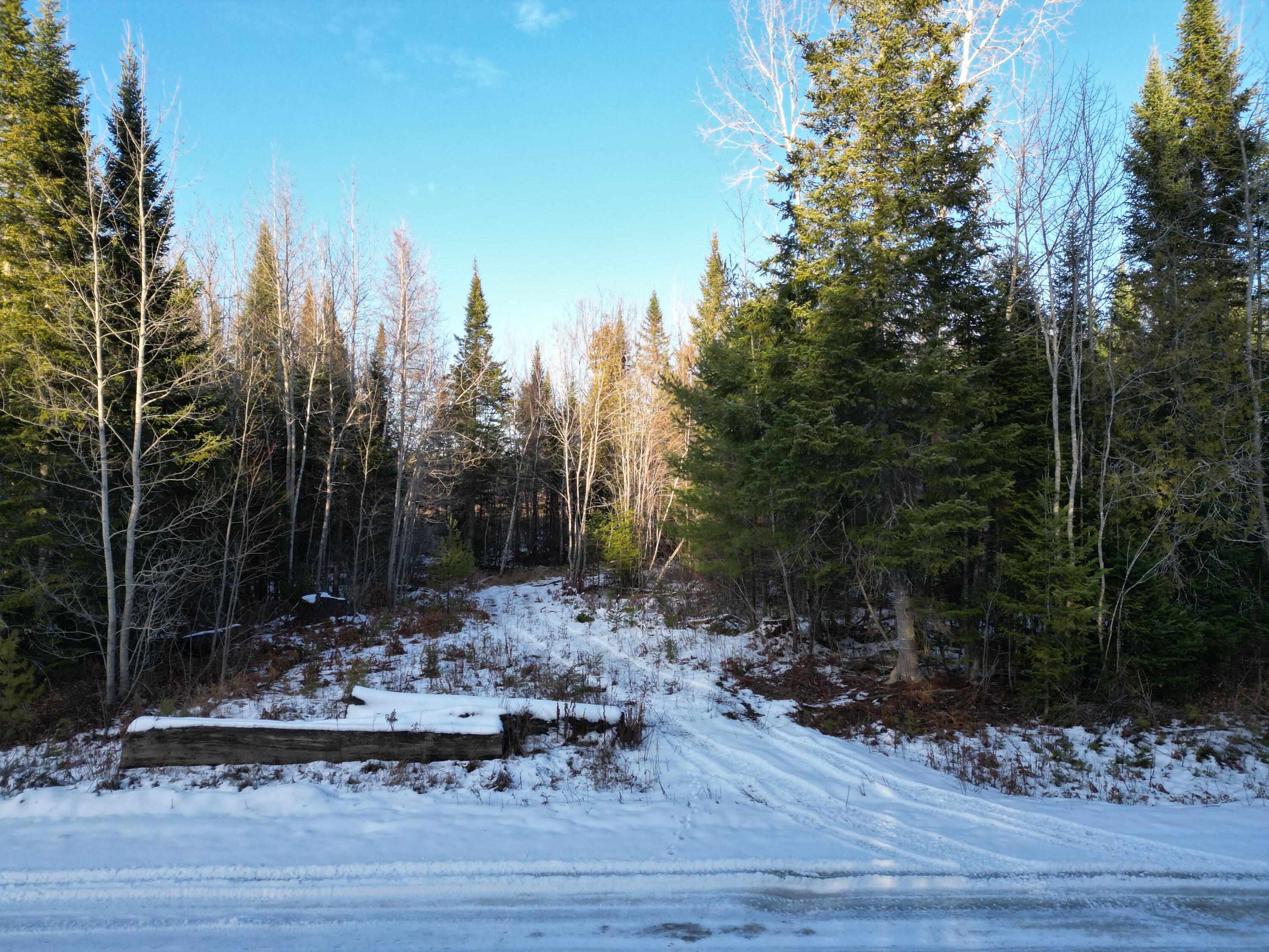 Lot 4-1 Butterfield Ridge Road Lincoln, ME 04457 - Photo 8 of 15 DJI_0018