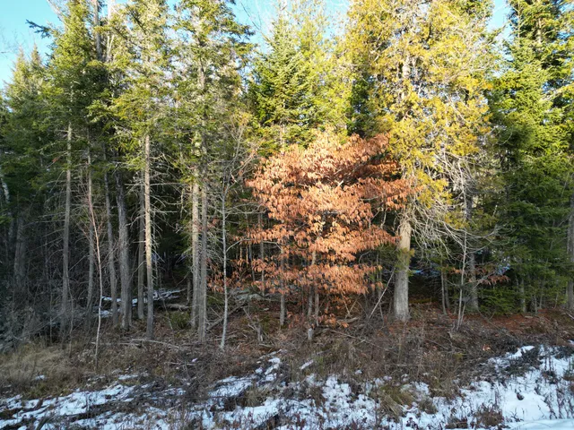 $33,777 | Lot 4-1 Butterfield Ridge Road, Lincoln, ME 04457