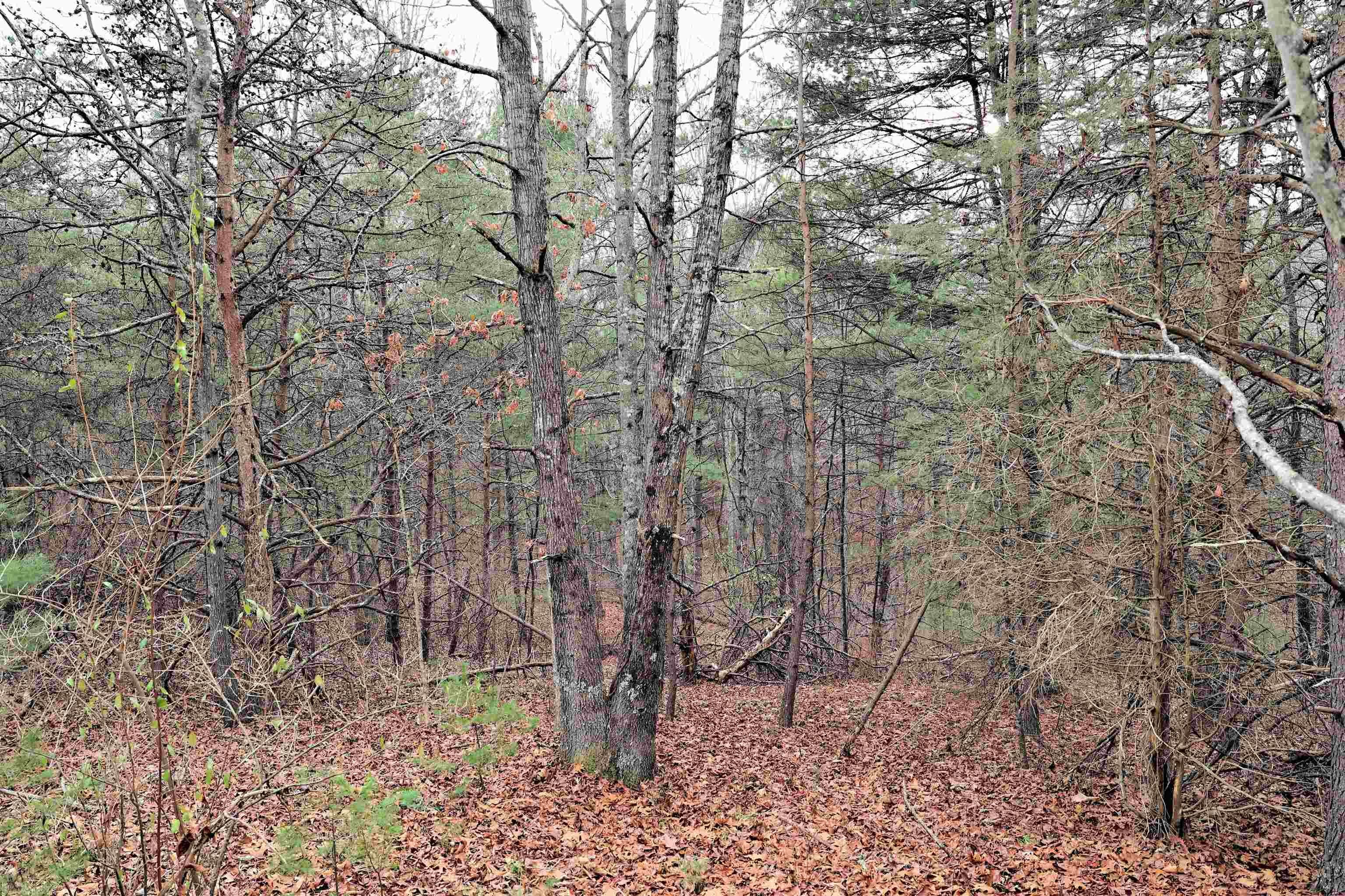 809 Huffville Road Northeast Pilot, VA 24138 - Photo 22 of 37 Gallery Image 22
