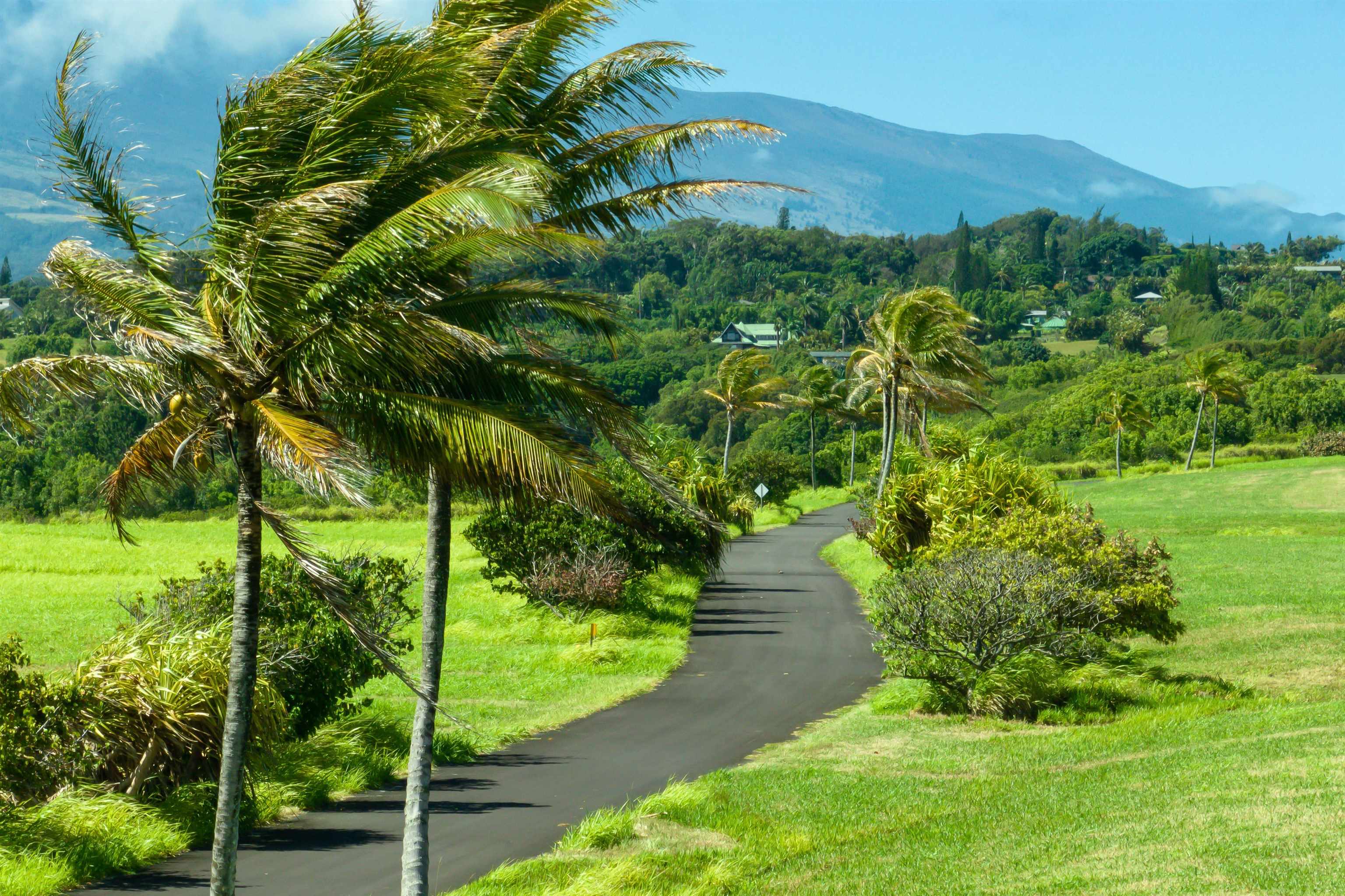 400 Kai Huki Street, Unit LOT 16 Haiku, HI 96708 - Photo 8 of 17 a view of a back yard