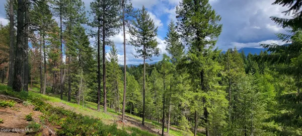 $385,000 | 492 Stellar Jay Road, Bonners Ferry, ID 83805