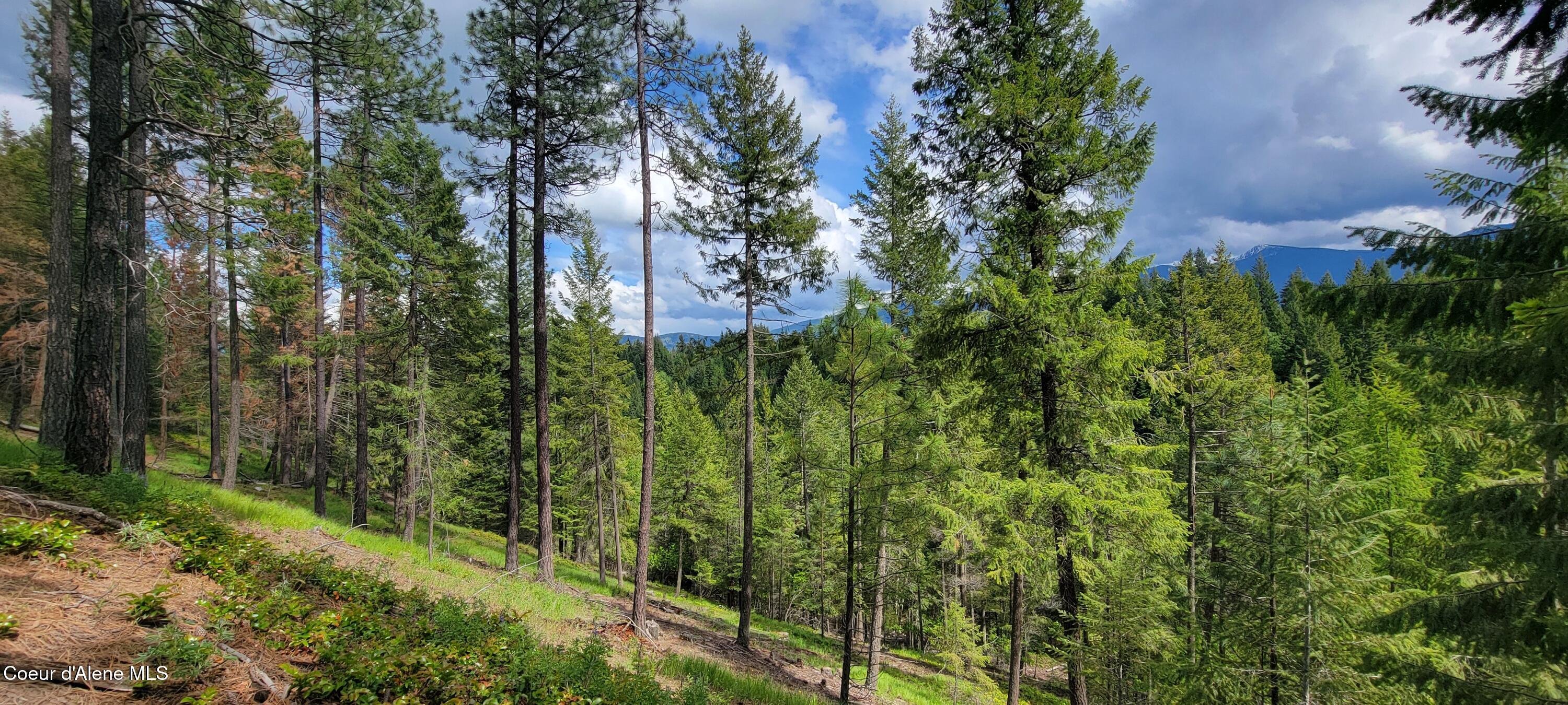 492 Stellar Jay Road Bonners Ferry, ID 83805 - Photo 2 of 9 Hillside