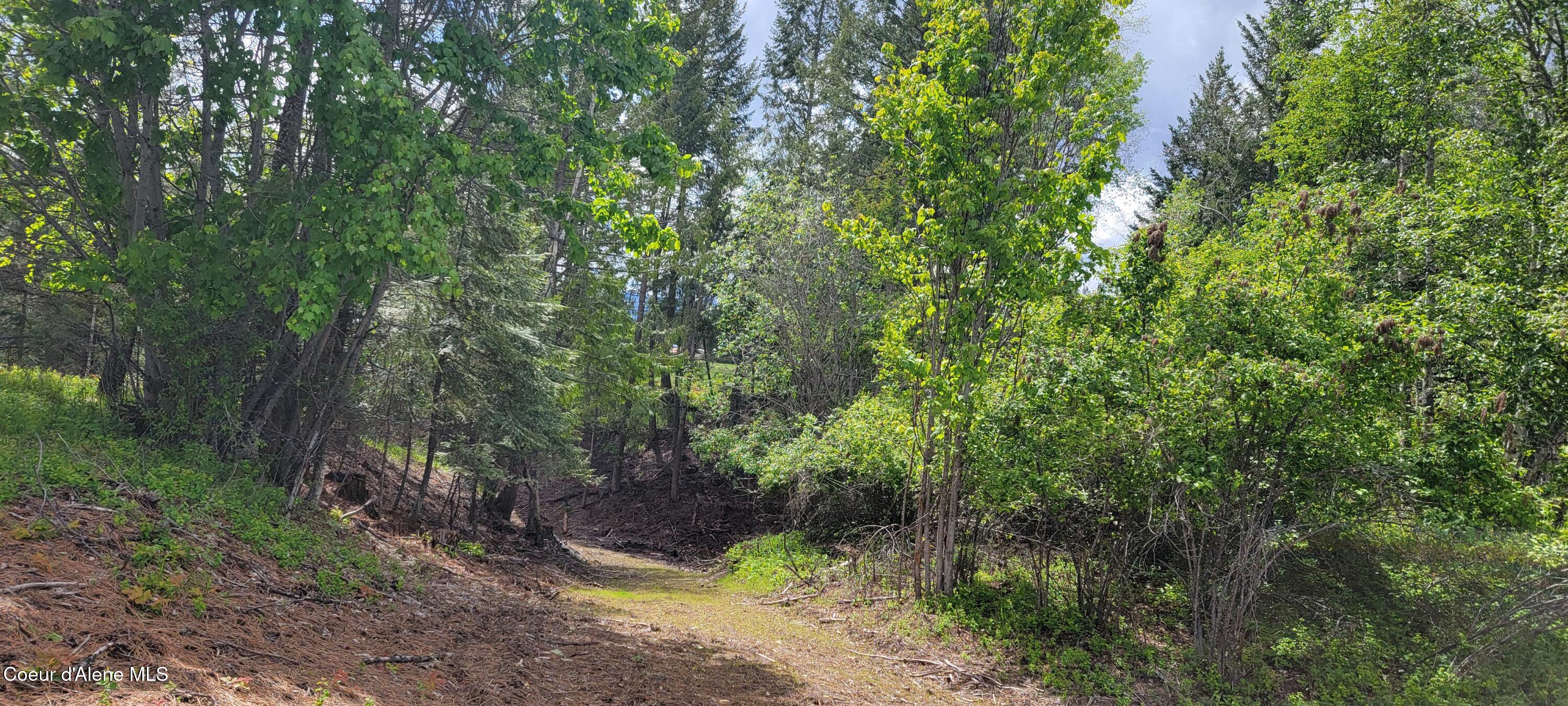 492 Stellar Jay Road Bonners Ferry, ID 83805 - Photo 3 of 9 Road to Draw