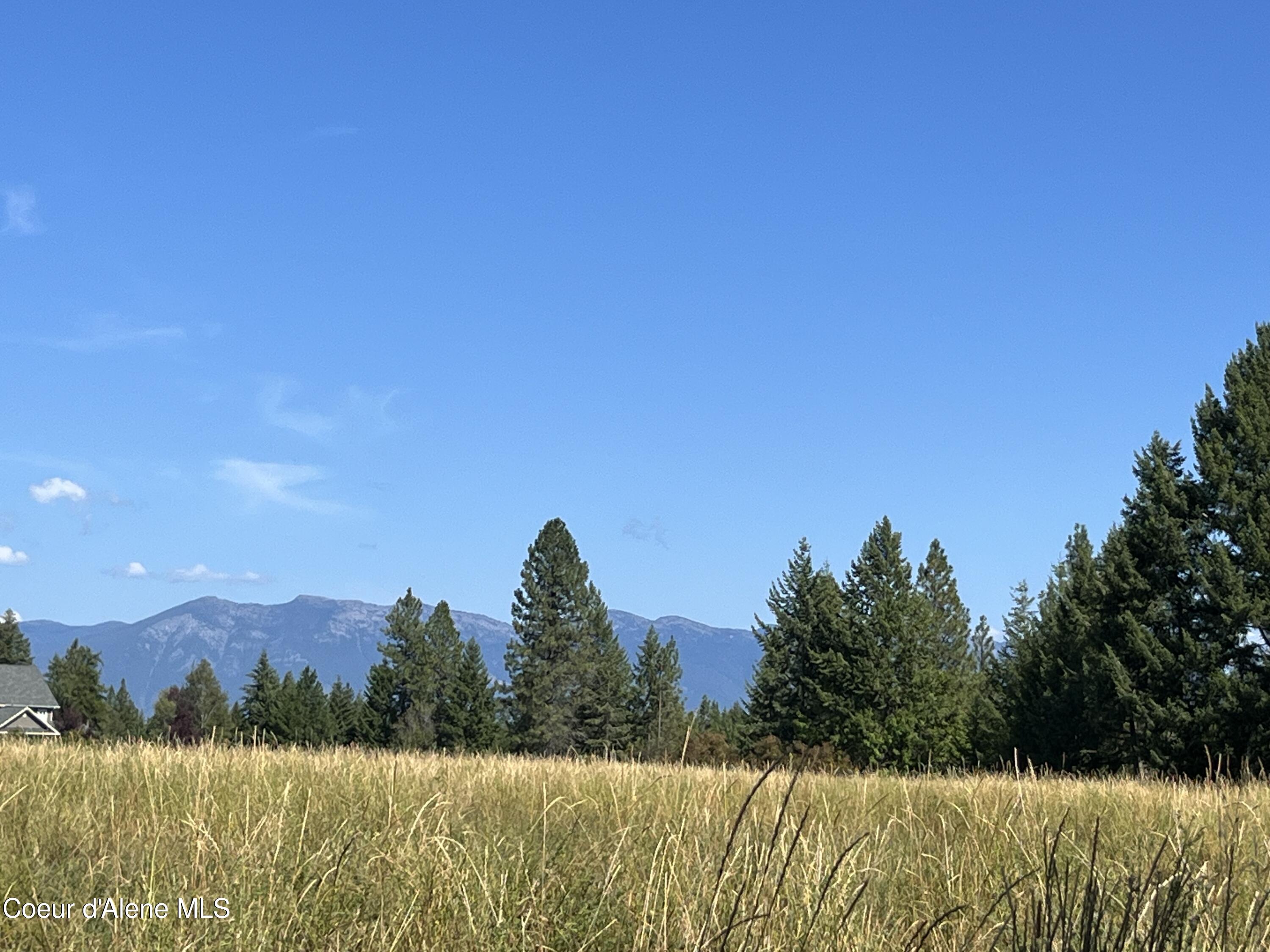 492 Stellar Jay Road Bonners Ferry, ID 83805 - Photo 4 of 9 East