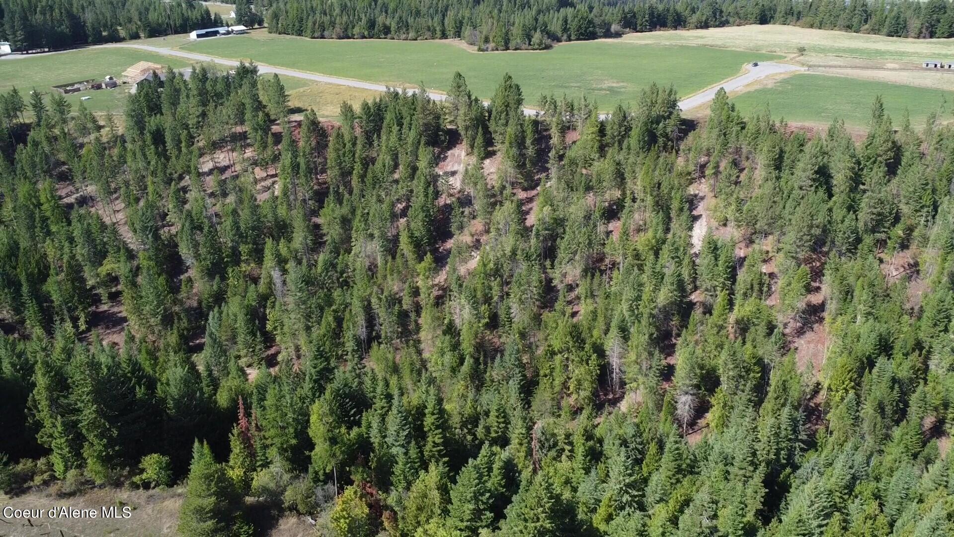 492 Stellar Jay Road Bonners Ferry, ID 83805 - Photo 7 of 9 Aerial of South Hillside