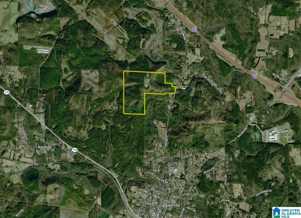 539 3rd Street Northwest Carbon Hill, AL 35549 - Photo 71 of 71