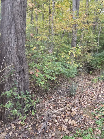 $249,900 | 9436 Highway 100, Nashville, TN 37221