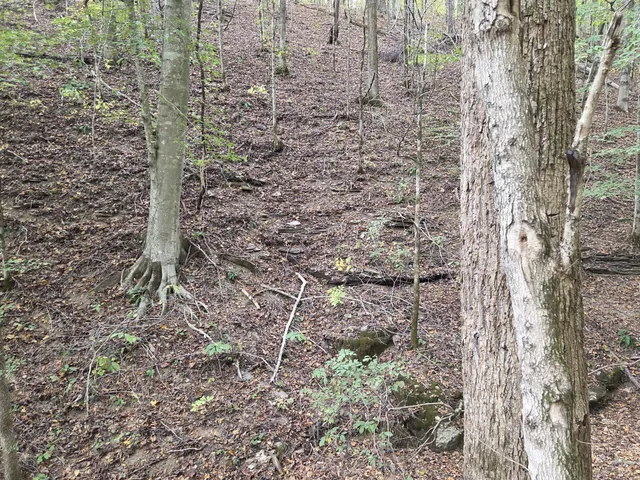 $249,900 | 9436 Highway 100, Nashville, TN 37221