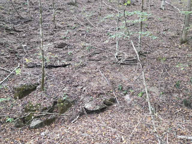 $249,900 | 9436 Highway 100, Nashville, TN 37221