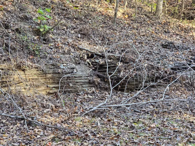 $249,900 | 9436 Highway 100, Nashville, TN 37221