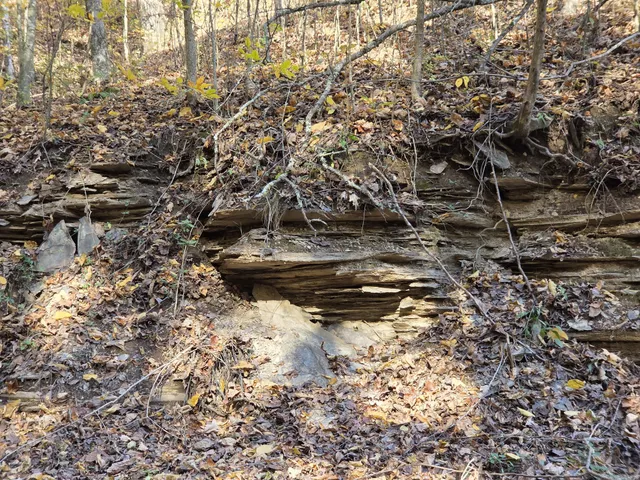 $249,900 | 9436 Highway 100, Nashville, TN 37221