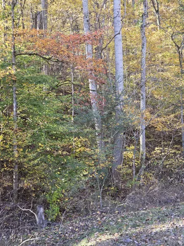 $249,900 | 9436 Highway 100, Nashville, TN 37221