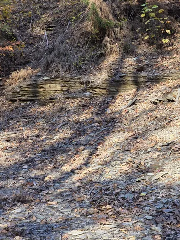 $249,900 | 9436 Highway 100, Nashville, TN 37221