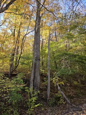 $249,900 | 9436 Highway 100, Nashville, TN 37221