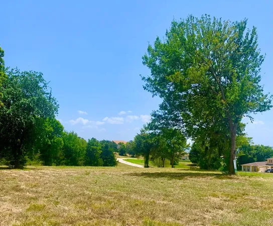 a view of a field with trees in the background