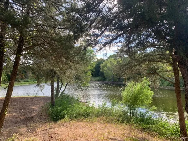a view of a yard with a tree