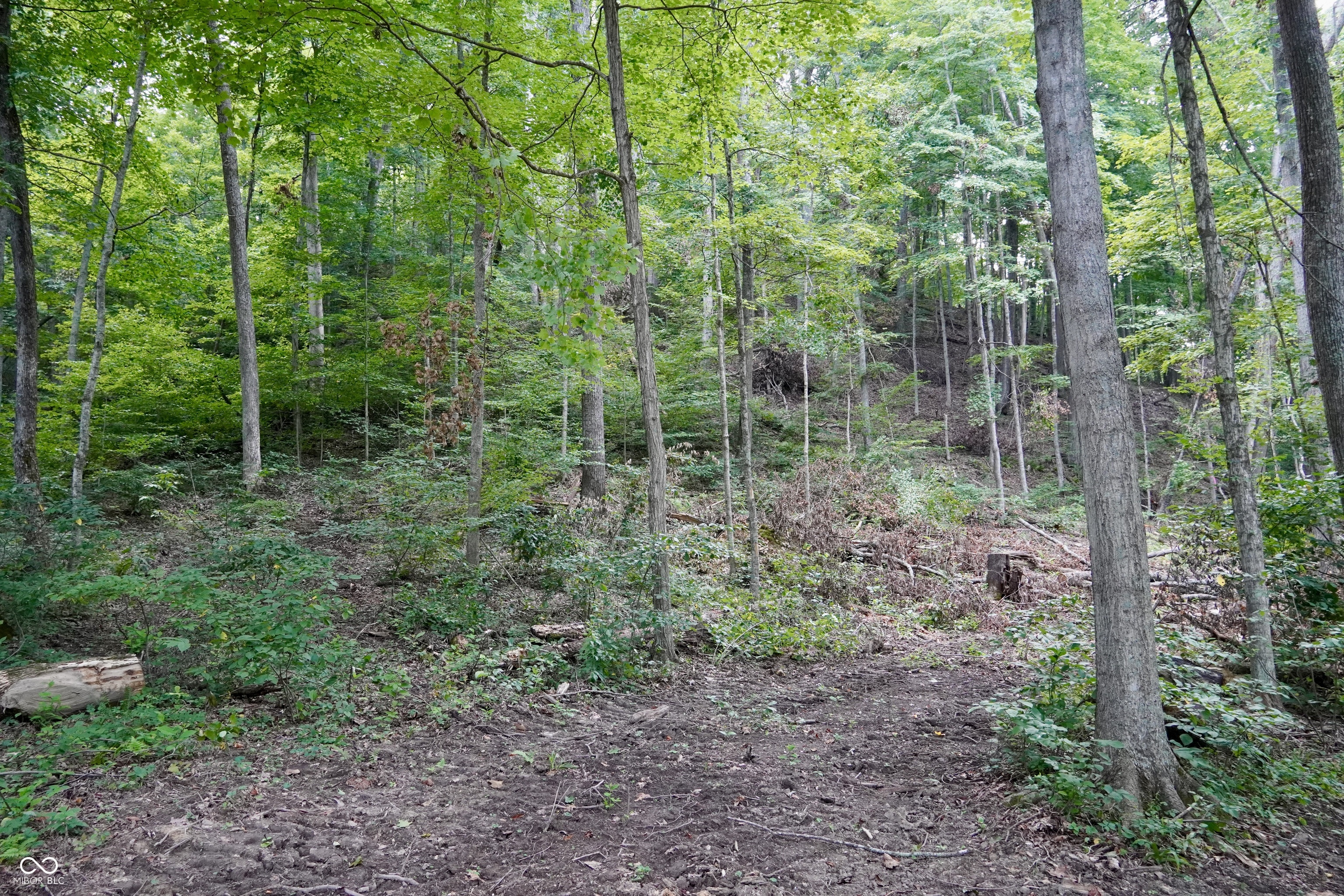 9830 Low Gap Road Martinsville, IN 46151 - Photo 152 of 192 Gallery Image 152