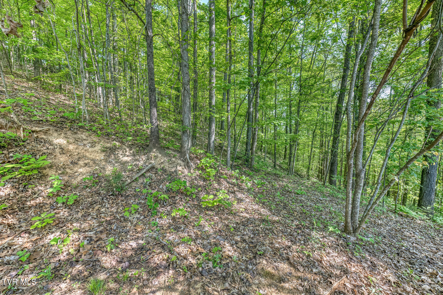 520 Highway 93 Fall Branch, TN 37656 - Photo 85 of 106 520 Highway 93 Exterior-34