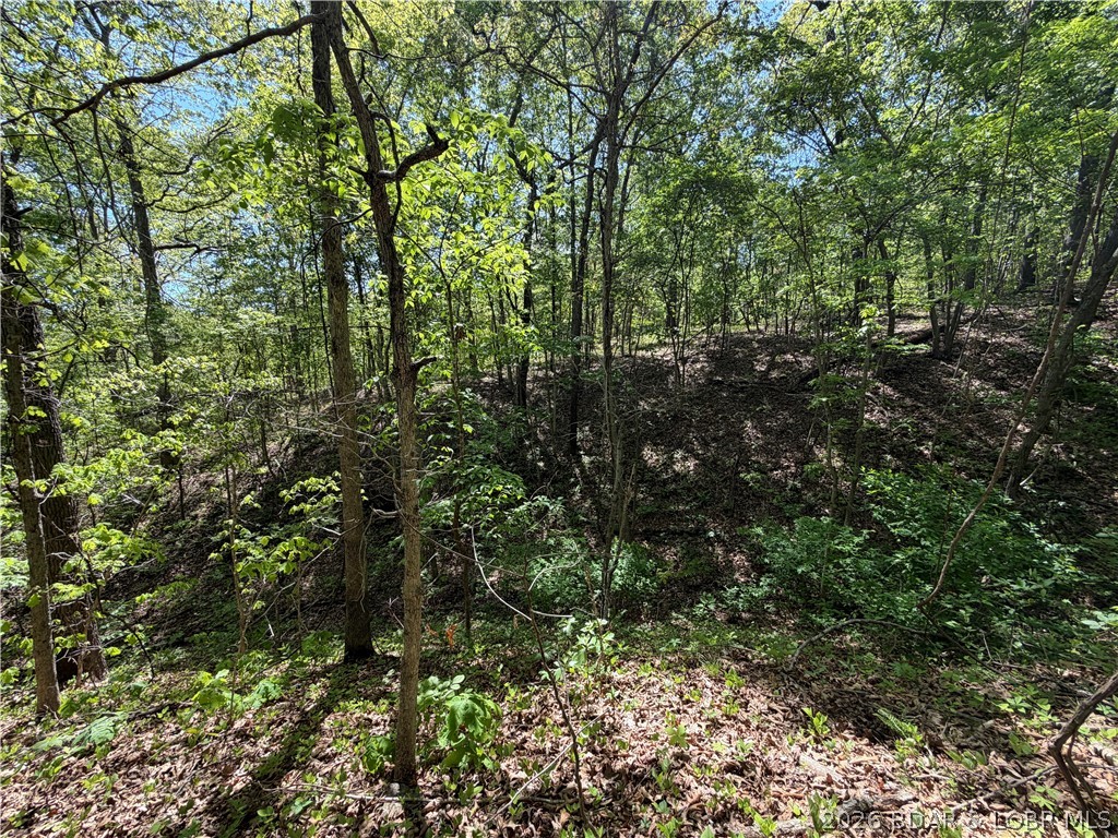 10-acres Ivy Bend Road Stover, MO 65078 - Photo 10 of 12