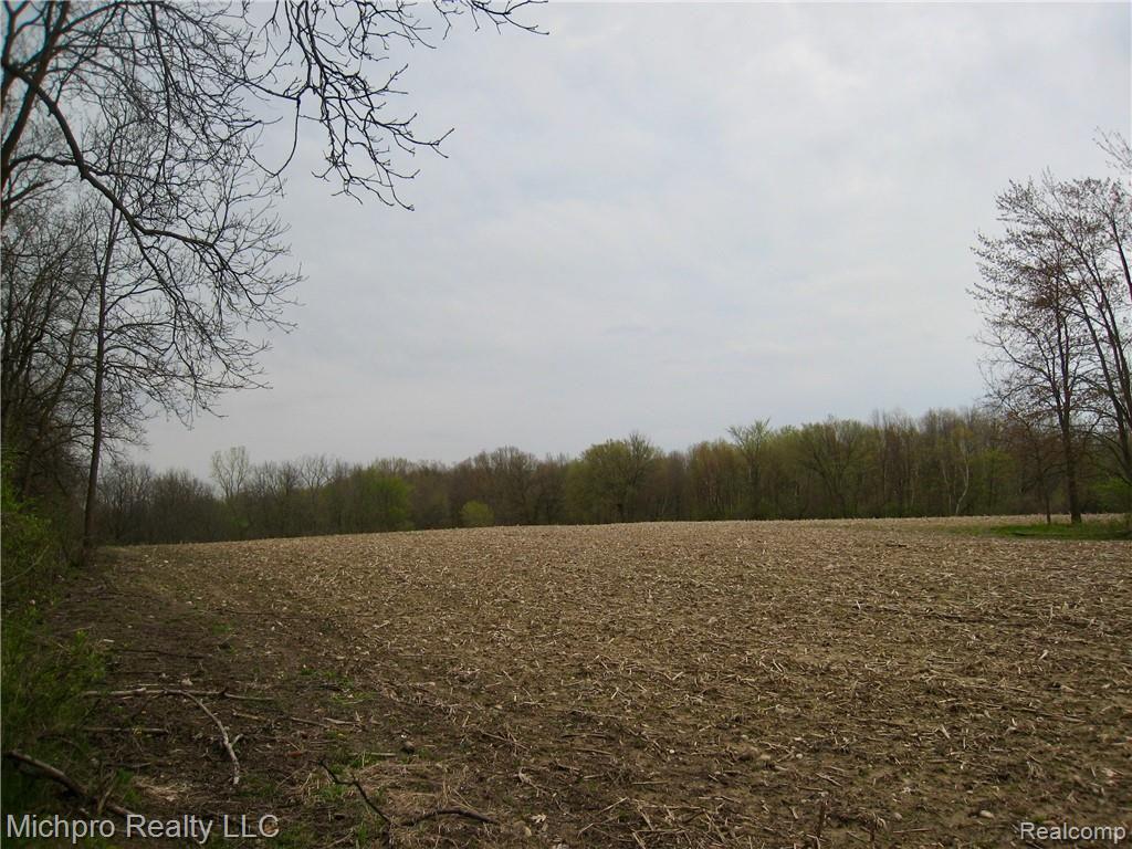 Parcel 2 South Lapeer Road Metamora, MI 48455 - Photo 9 of 17