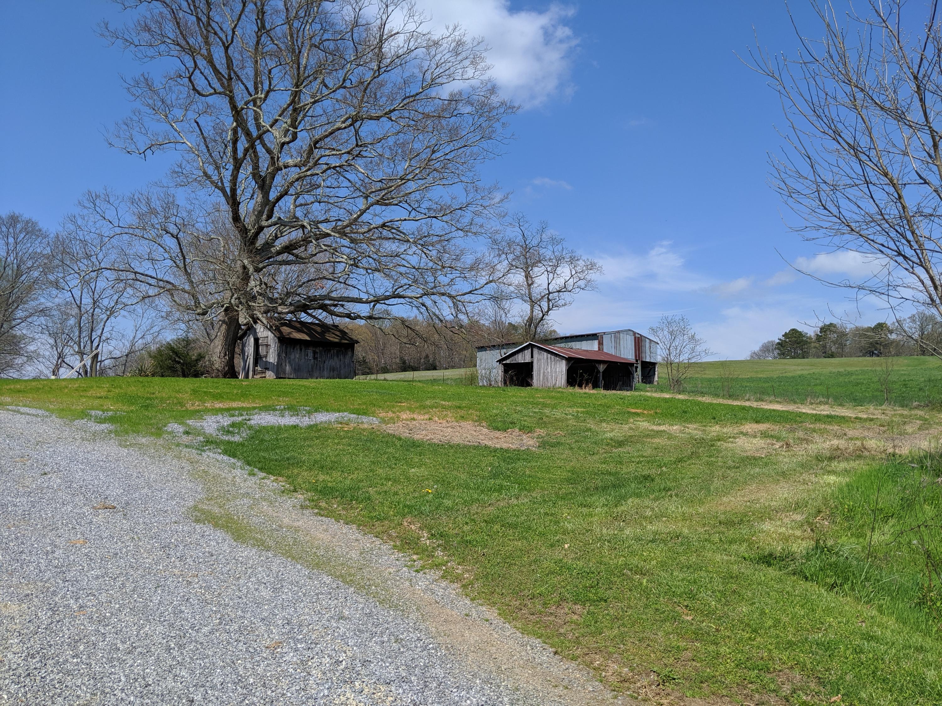 990 Cocke County Road Greeneville, TN 37743 - Photo 4 of 42 IMG_20200328_124228