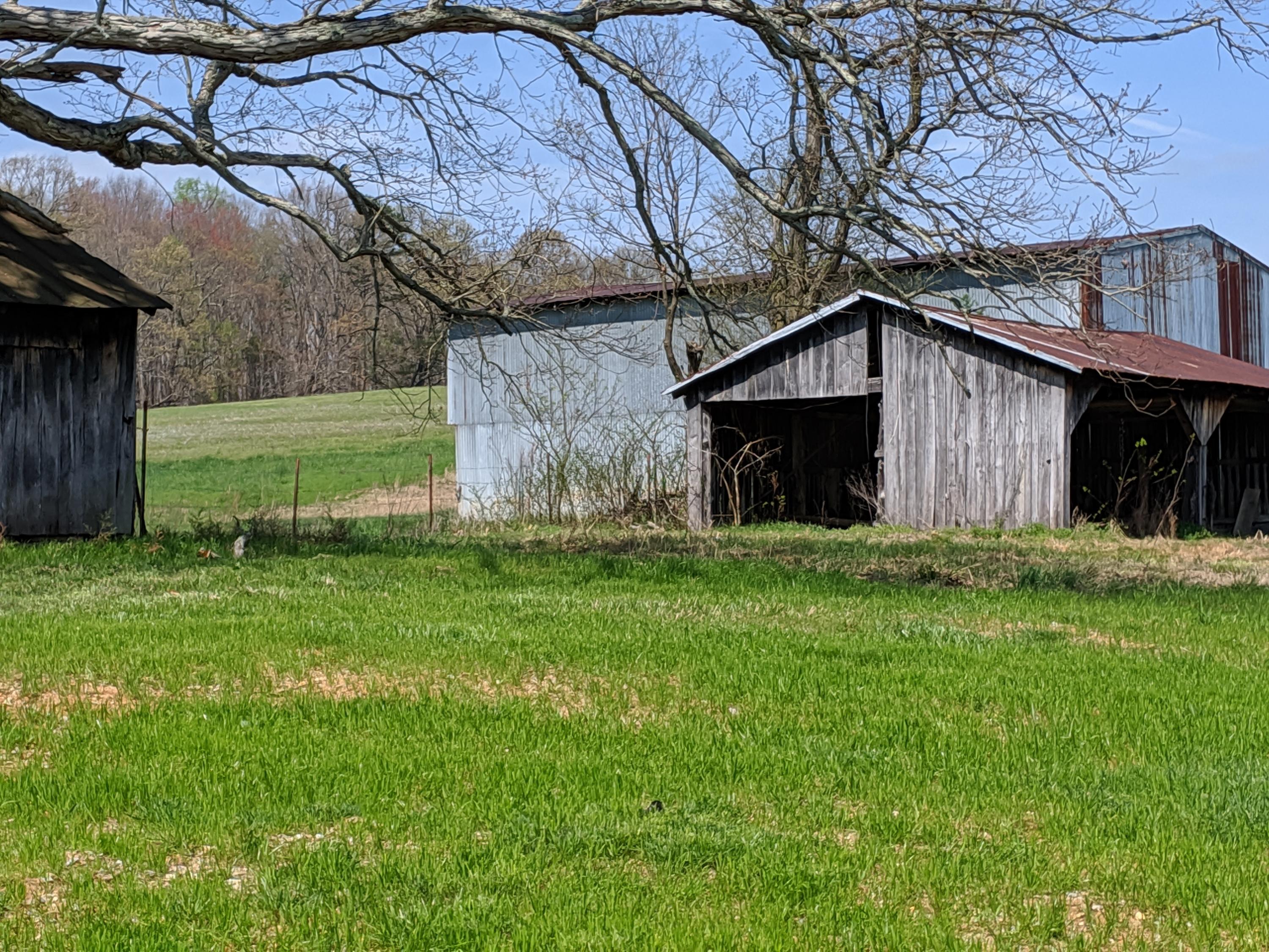 990 Cocke County Road Greeneville, TN 37743 - Photo 42 of 42 IMG_20200328_130208