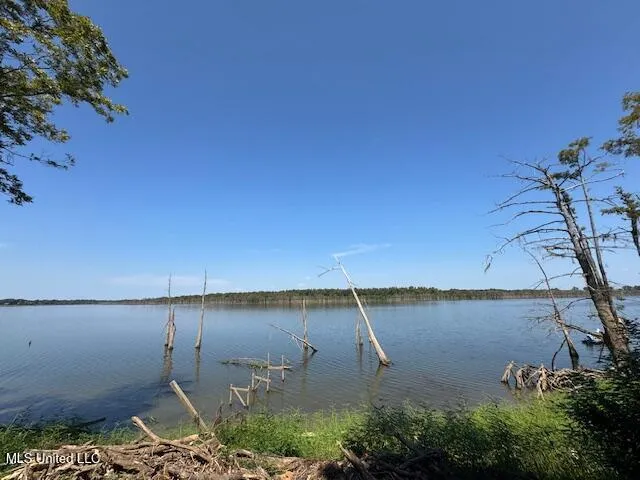 $195,000 | 3383 Pecan Grove Road, Woodville, MS 39669