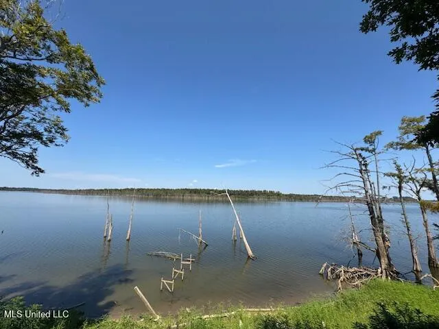 $195,000 | 3383 Pecan Grove Road, Woodville, MS 39669