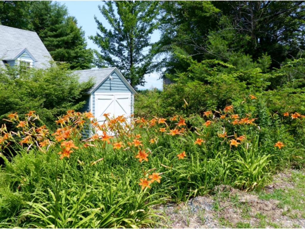 36 Lockes Hill Road Gilford, NH 03249 - Photo 33 of 36