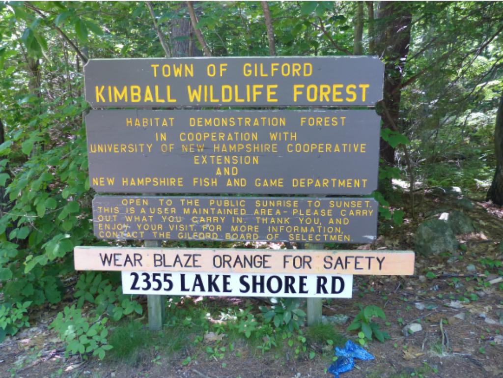 36 Lockes Hill Road Gilford, NH 03249 - Photo 36 of 36