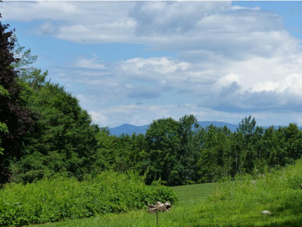 36 Lockes Hill Road Gilford, NH 03249 - Photo 9 of 36