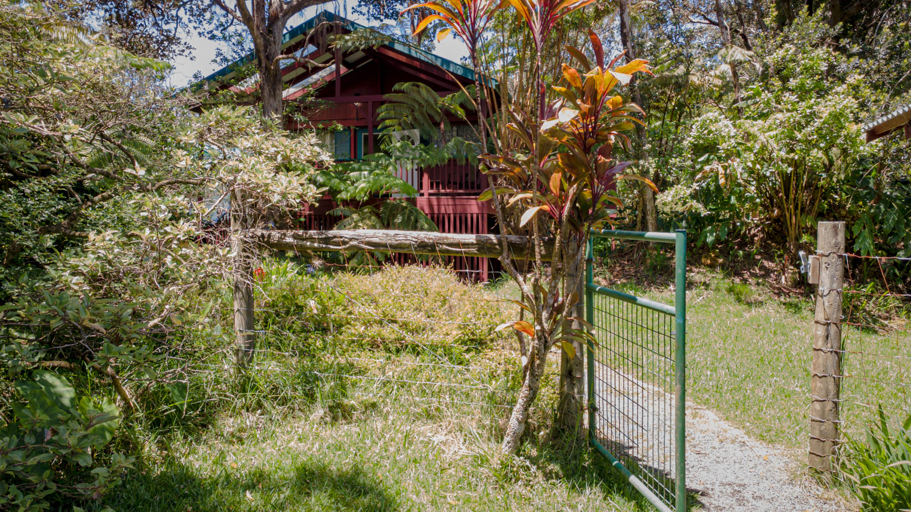 19-4144 Haunani Road Volcano, HI 96785 - Photo 4 of 30