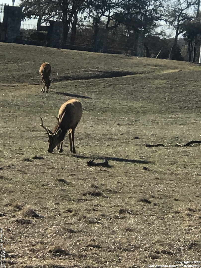 Lot 49 Elk Mountain Road Pipe Creek, TX 78063 - Photo 2 of 4